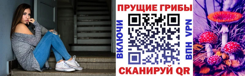 Галлюциногенные грибы прущие грибы наркотики Судогда