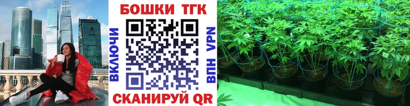 Канабис семена Судогда